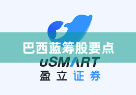 巴西蓝筹股要点