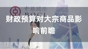 财政预算对大宗商品影响前瞻
