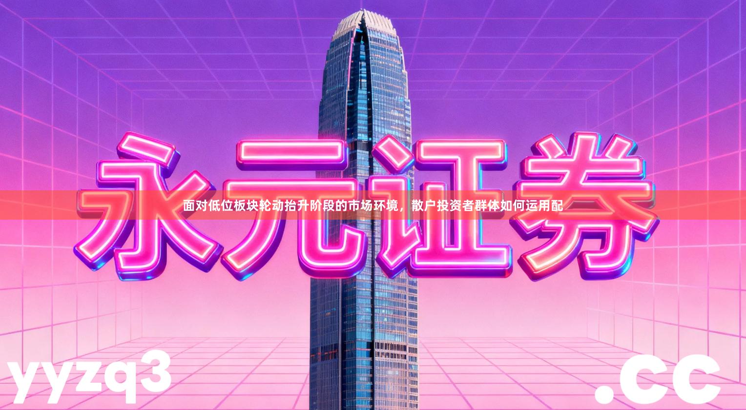 面对低位板块轮动抬升阶段的市场环境，散户投资者群体如何运用配